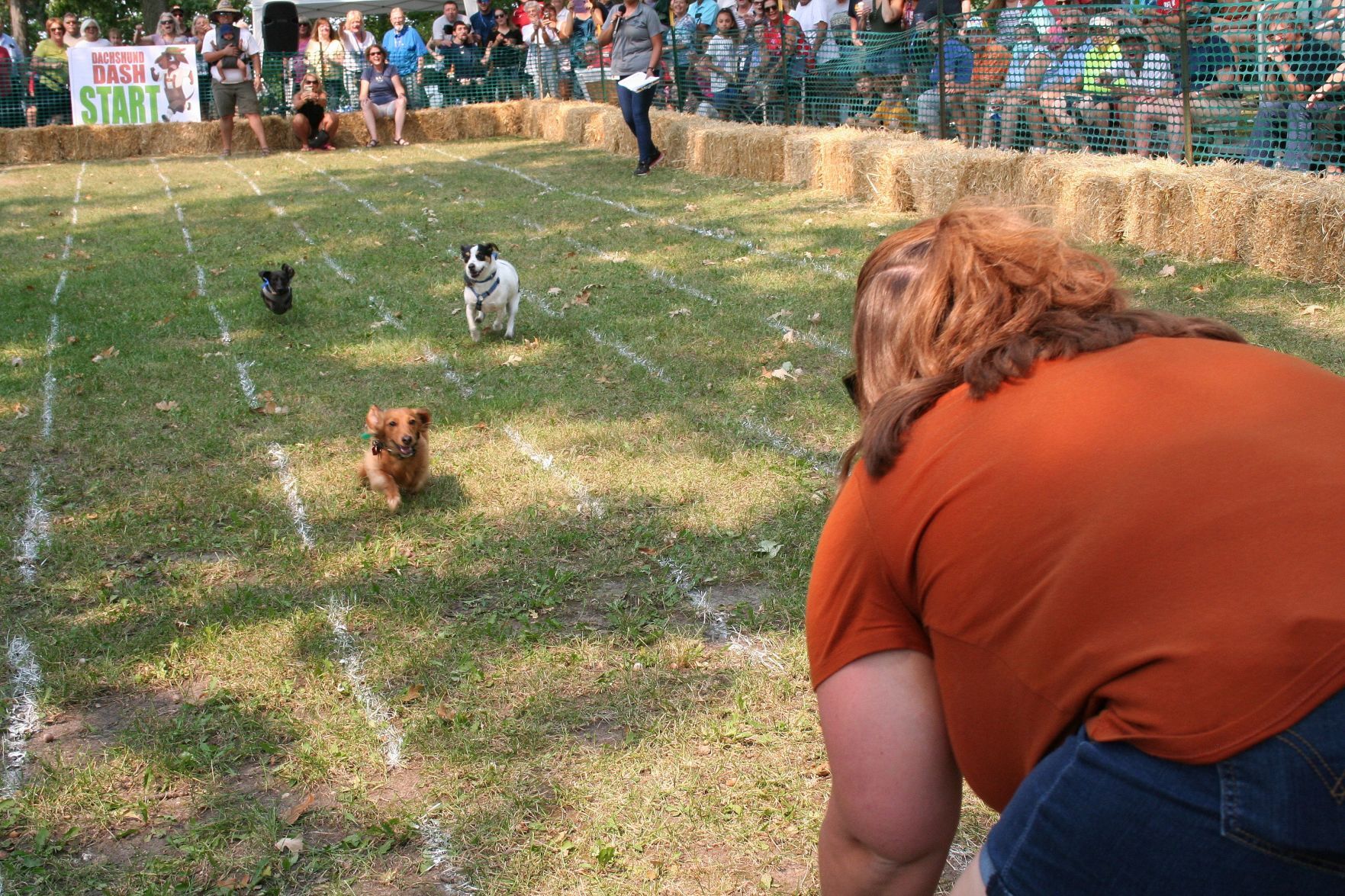 10th Annual Old Settlers Oktoberfest